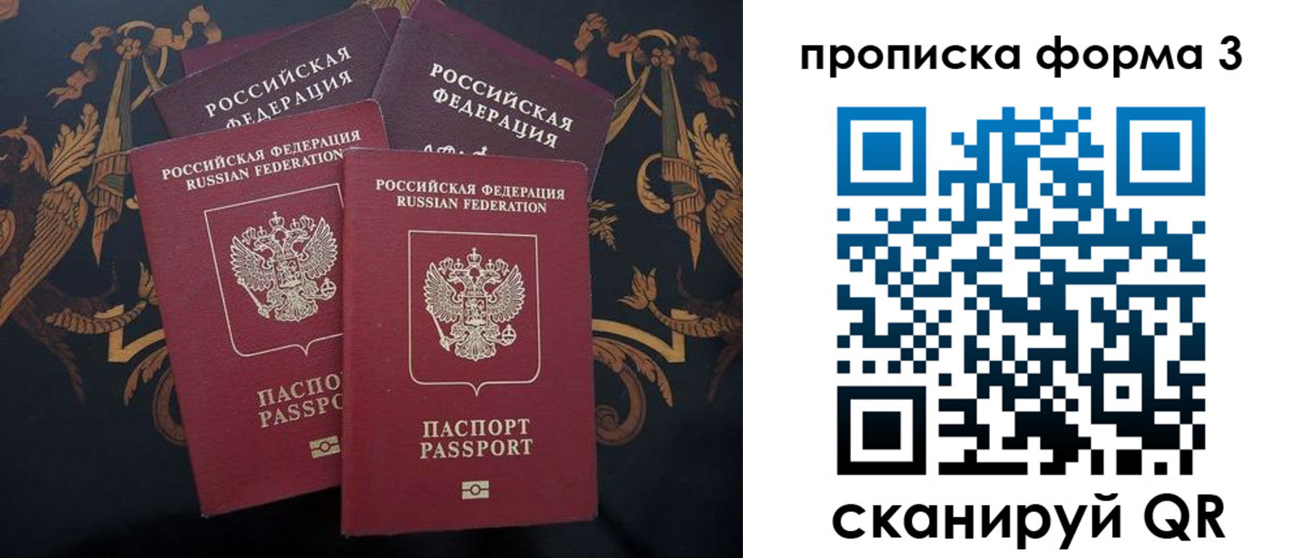 прописка законно в Димитровграде