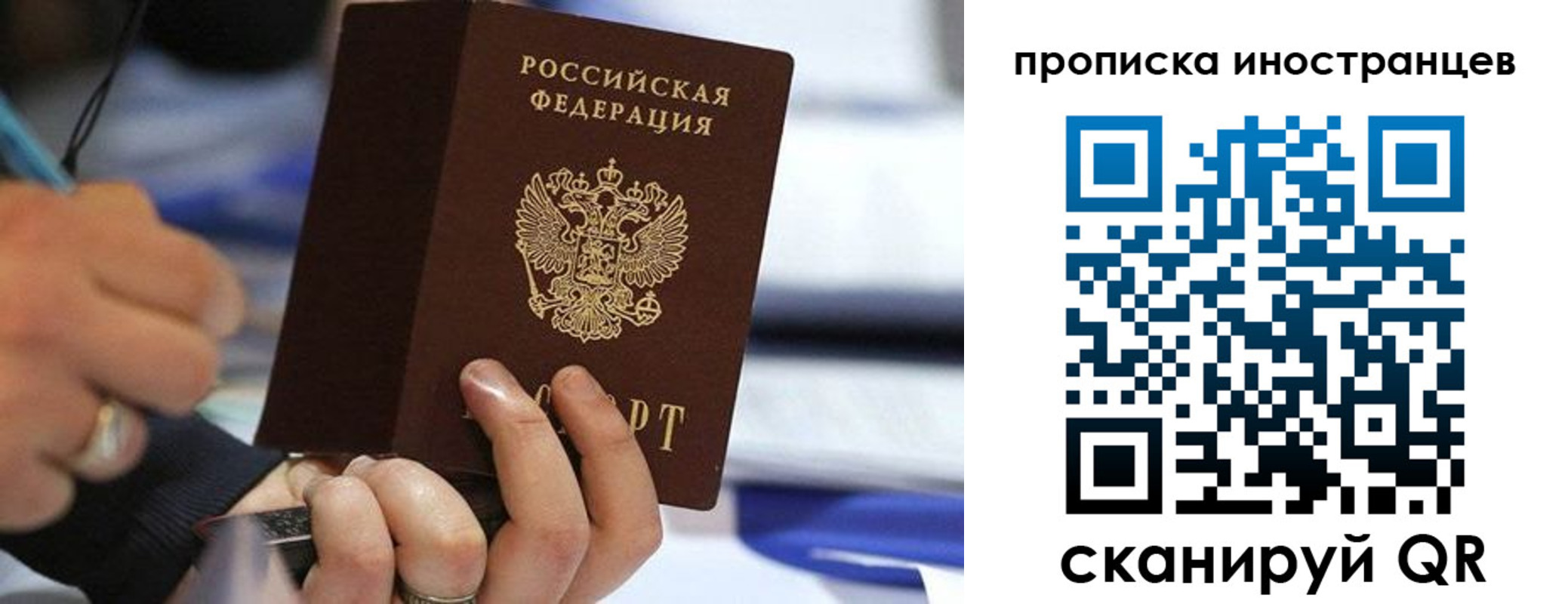 прописка для работы в Димитровграде